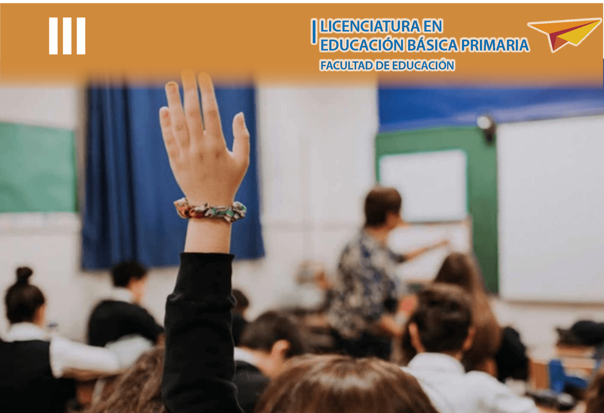 1019020 (2024-2) G2 Práctica pedagógica III —Fundamentación— (2024-2) G2