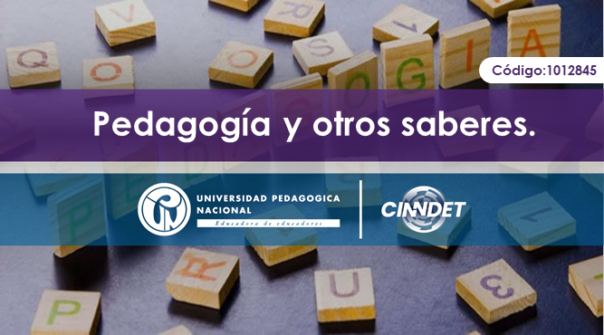 1012845 (2024-2) Pedagogía y otros saberes (2024-2)