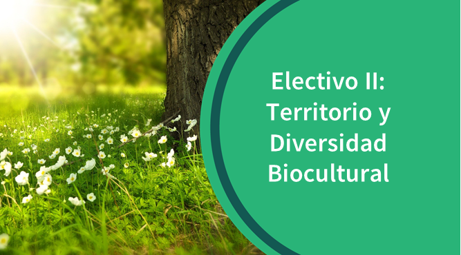 EII_1 Electivo II: Territorio y Diversidad Biocultural copia 1