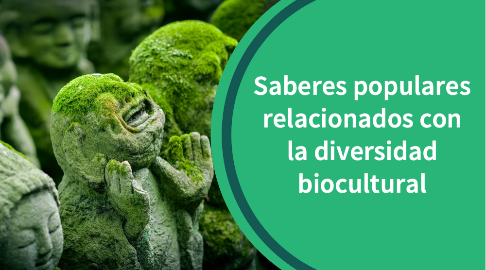 Saberes SABERES POPULARES RELACIONADOS CON LA DIVERSIDAD BIOCULTURAL: Otras miradas en la educación contemporánea