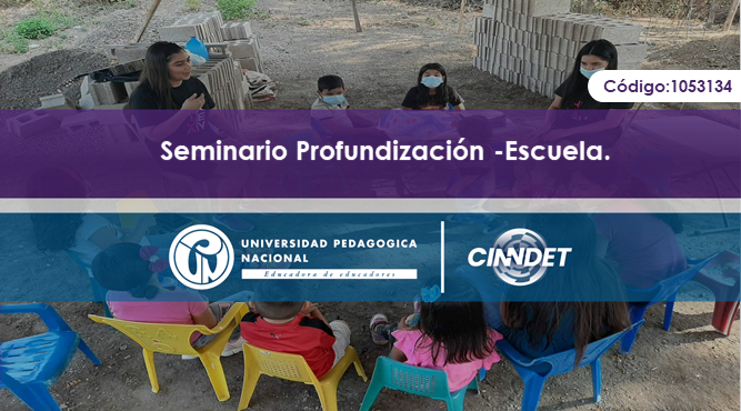 1053134 SEMINARIO PROFUNDIZACION I - ESCUELA.