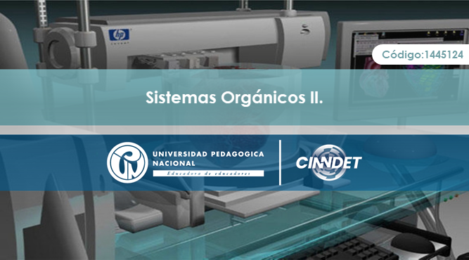 1445124-2 Sistemas Orgánicos 2- Grupo 2