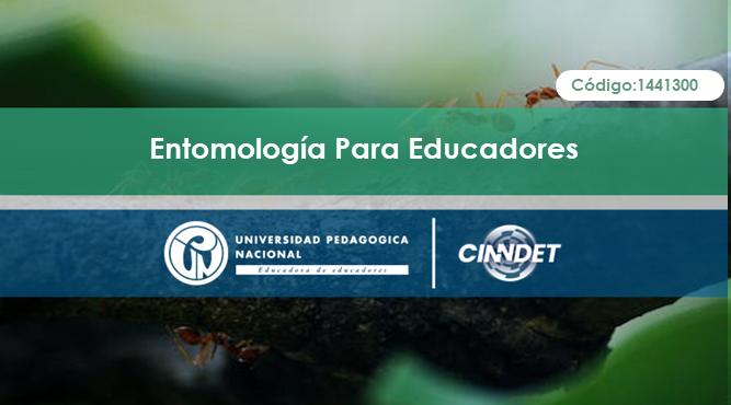 1441300 Entomología para Educadores