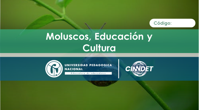 Moluscos, educación y cultura Moluscos, educación y cultura