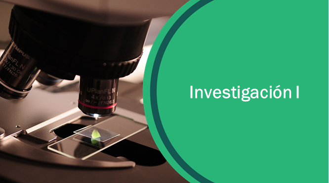 II Investigación I