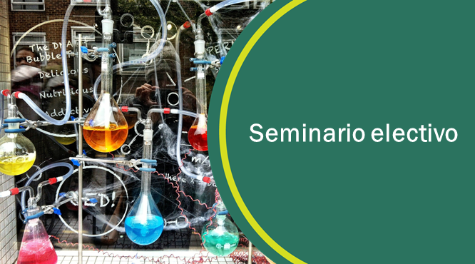 SE S4_SEMINARIO ELECTIVO