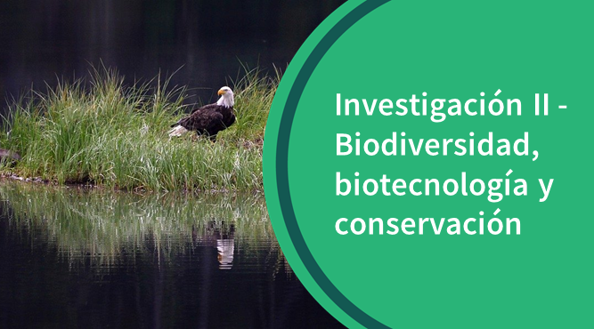 Inv_BBC Investigación II - Biodiversidad, biotecnología y conservación